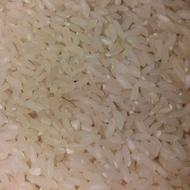 برنج چمپای میداوود