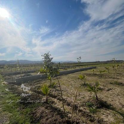 170 متر زمین الحاق به بافت کاربری باغی شرایط پرداخت اقساطی در گروه خرید و فروش املاک در مازندران در شیپور-عکس1