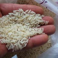برنج هاشمی شهر لنگرود -گیلان