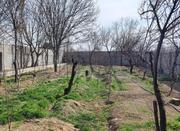 فروش زمین کشاورزی 1000 متر در شهریار