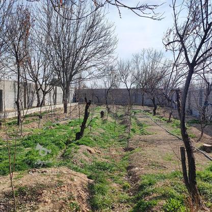 فروش زمین کشاورزی 1000 متر در شهریار در گروه خرید و فروش املاک در تهران در شیپور-عکس1