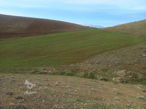زمین کشاورزی مرغوب 5000 متر در گروه خرید و فروش املاک در کردستان در شیپور-عکس1