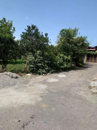فروش زمین مسکونی 454 متر در بلوار شیرودی در گروه خرید و فروش املاک در مازندران در شیپور-عکس1