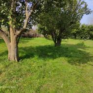 زمین شهرکی /بام تنکابن/209متر