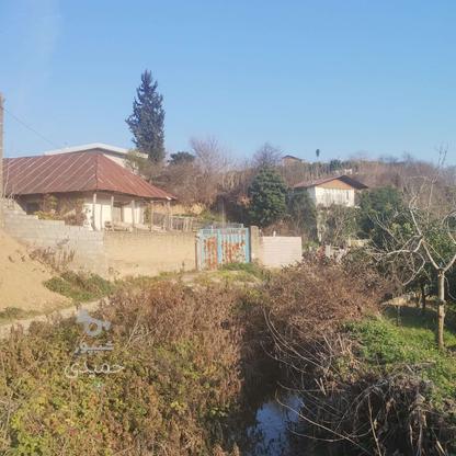 فروش زمین مسکونی 250 متر در تنگ لته در گروه خرید و فروش املاک در مازندران در شیپور-عکس1
