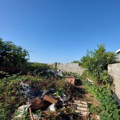 240 متر زمین مسکونی گلسار در گروه خرید و فروش املاک در گیلان در شیپور-عکس1