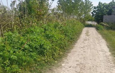 فروش زمین نزدیک به دریا،