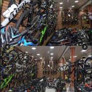 دوچرخه حرفه ای CARPAT