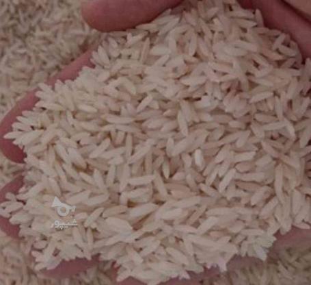 برنج طارم هاشمی ارگانیک درجه یک در گروه خرید و فروش خدمات و کسب و کار در تهران در شیپور-عکس1