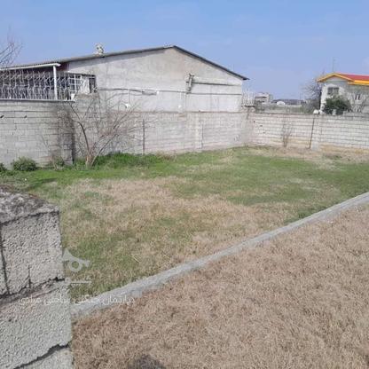 فروش زمین مسکونی 204 متر در دشت سر در گروه خرید و فروش املاک در مازندران در شیپور-عکس1