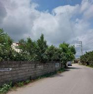 زمین مسکونی 20000 متر در چالکرود