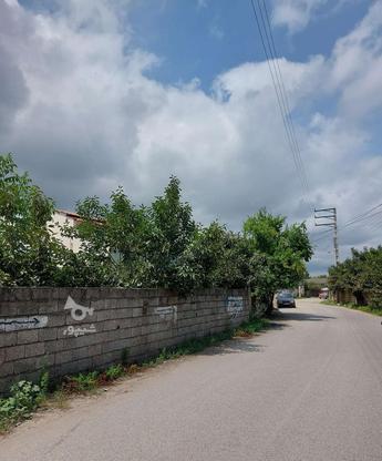 فروش زمین مسکونی 20000 متر در چالکرود در گروه خرید و فروش املاک در مازندران در شیپور-عکس1