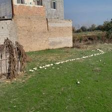 فروش زمین مسکونی 90 متر در راهبند