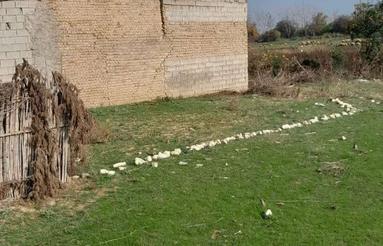 فروش زمین مسکونی 90 متر در راهبند