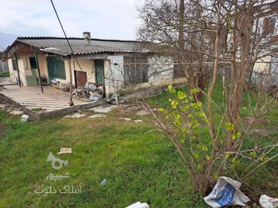 فروش زمین مسکونی 400 متر در وازیوار در گروه خرید و فروش املاک در مازندران در شیپور-عکس1