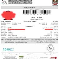 ویزای توریستی امارات متحده عربی ، دبی