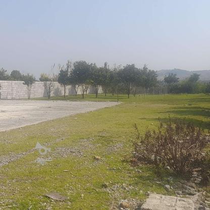 زمین مسکونی ارزان در بندپی شرقی در گروه خرید و فروش املاک در مازندران در شیپور-عکس1