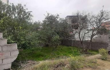 فروش زمین مسکونی 120 متر در خیابان کفشگرکلا