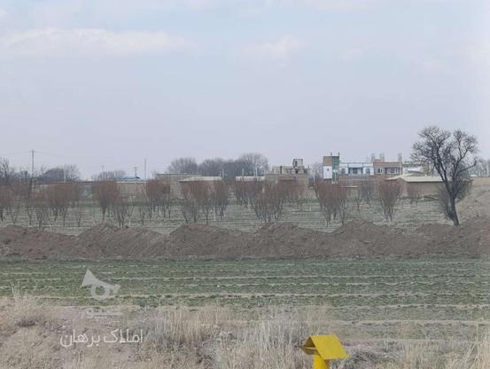 فروش زمین کشاورزی و خانه باغ 9000 متر در سقز در گروه خرید و فروش املاک در کردستان در شیپور-عکس1