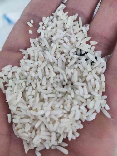 برنج هلشمی محصول کشاورز