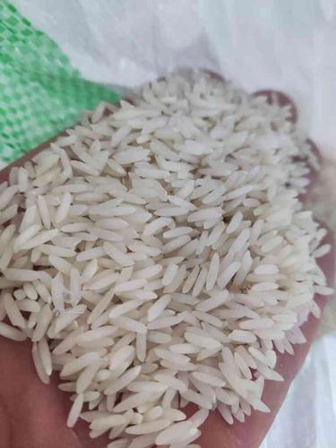 برنج هلشمی محصول کشاورز