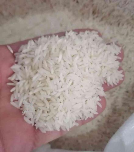 برنج طارم هاشمی درجه یک