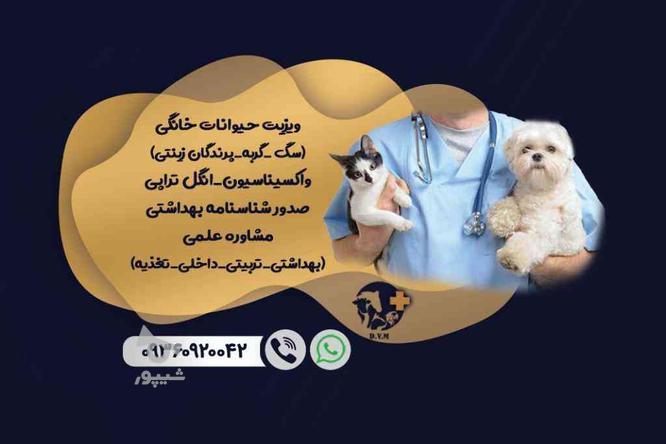 ویزیت حیوانات خانگی توسط دکتر دامپزشک
