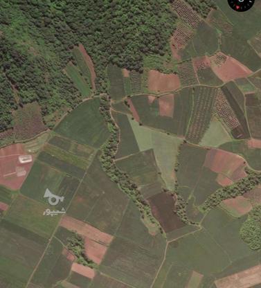 زمین کشاورزی 4 نیم هکتار در گروه خرید و فروش املاک در گلستان در شیپور-عکس1