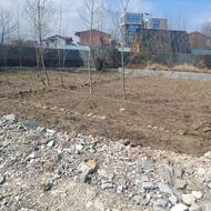 فروش زمین کشاورزی 150 متر در هلستان