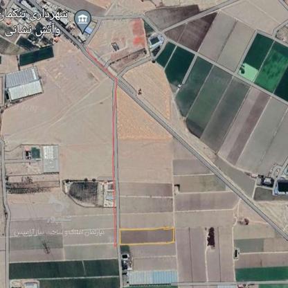 فروش زمین کشاورزی 4300 متر در تنکمان  در گروه خرید و فروش املاک در البرز در شیپور-عکس1
