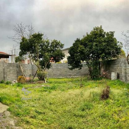 زمین مسکونی سنددار باانشعابات امین آباد در گروه خرید و فروش املاک در گیلان در شیپور-عکس1
