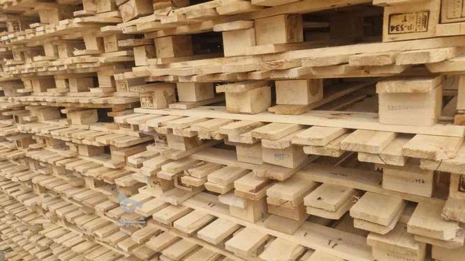 پالت چوبی پالت پلاستیکی خریدار پالت پالت سازی ساخت پالت پخش
