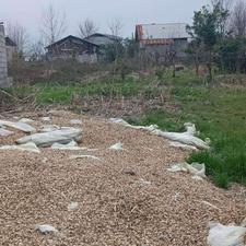 فروش زمین مسکونی 667 متر در گیلاکجان