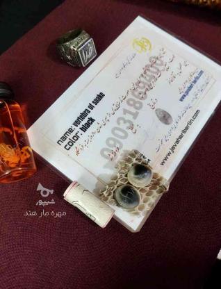 مهره مار اصل سیاه خالدار در گروه خرید و فروش لوازم شخصی در سیستان و بلوچستان در شیپور-عکس1