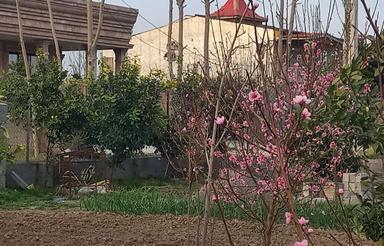 زمین مسکونی شمال محموداباد 870متری