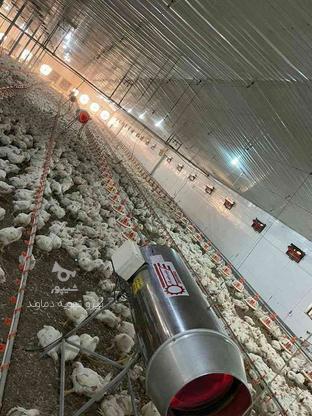 جت هیتر صنعتی کم مصرف مرغداری در گروه خرید و فروش صنعتی، اداری و تجاری در سمنان در شیپور-عکس1