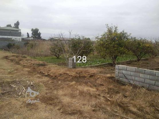 فروش زمین مسکونی 750 متر در دینه سررکن کلا در گروه خرید و فروش املاک در مازندران در شیپور-عکس1