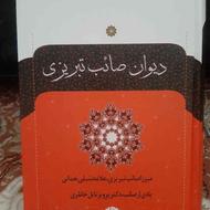 دیوان صائب تبریزی (دوجلدی)