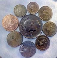 کلکسیون سکه های قدیمی شاهی و اسلامی
