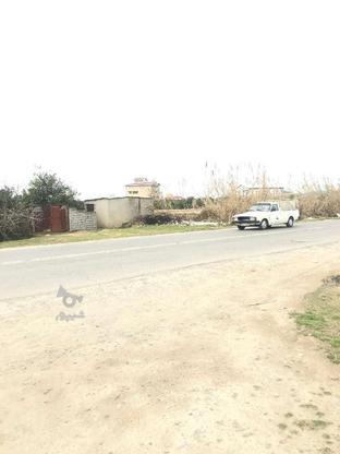 5500متر زمین نبش جاده اصلی کنار بافت مناسب هر فعالیتی در گروه خرید و فروش املاک در مازندران در شیپور-عکس1