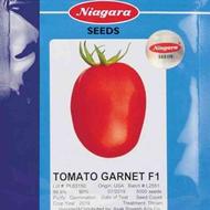 بذر گوجه گارنت نیاگارا ، بذر گوجه Niagara