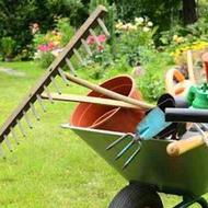 انجام امور باغبانی، مشاوره، طراحی و احداث باغ و باغچه