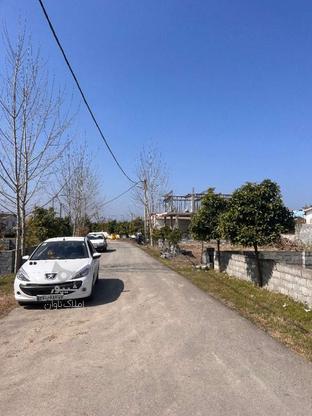 فروش 500 متر زمین داخل بافت دهکده توریستی در گروه خرید و فروش املاک در مازندران در شیپور-عکس1
