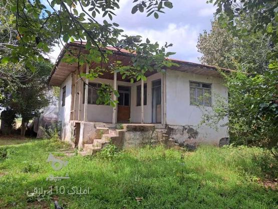 1053 متر خانه باغ ویلایی با امتیازات در لولمان رشت در گروه خرید و فروش املاک در گیلان در شیپور-عکس1