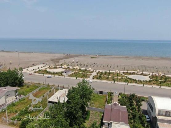 فروش زمین مسکونی 280 متر در ساحلی در گروه خرید و فروش املاک در گیلان در شیپور-عکس1