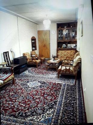 آپارتمان 90متر واقع در خیابان پارامونت مرکز شهر در گروه خرید و فروش املاک در فارس در شیپور-عکس1