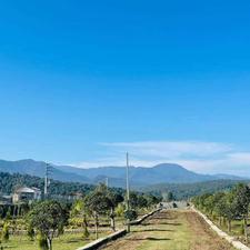 اقساط 24 ماهه بدون بهره منطقه برند همصفا