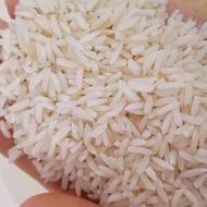 فروش برنج کشت اول طارم هاشمی