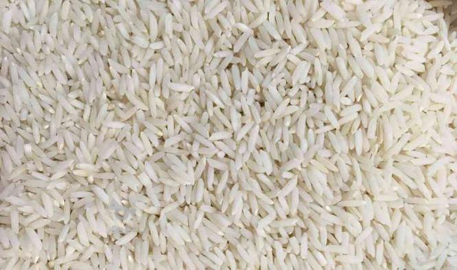 فروش برنج درجه یک دهه دار هاشمی