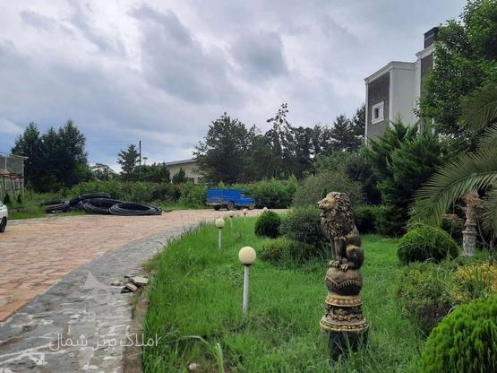 فروش زمین مسکونی 500 متر در شهرک نارون چلک در گروه خرید و فروش املاک در مازندران در شیپور-عکس1